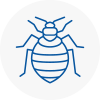Bed Bug Extermination In Longsight
